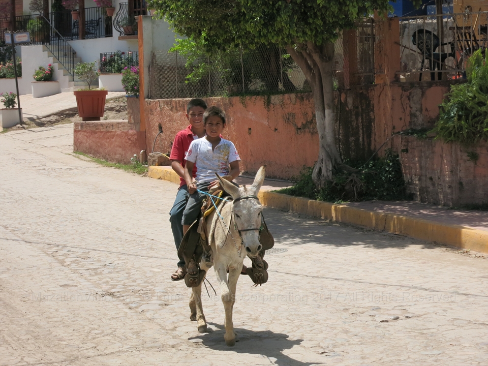 boy on donkey in El Quelite, Sinaloa, Mexico