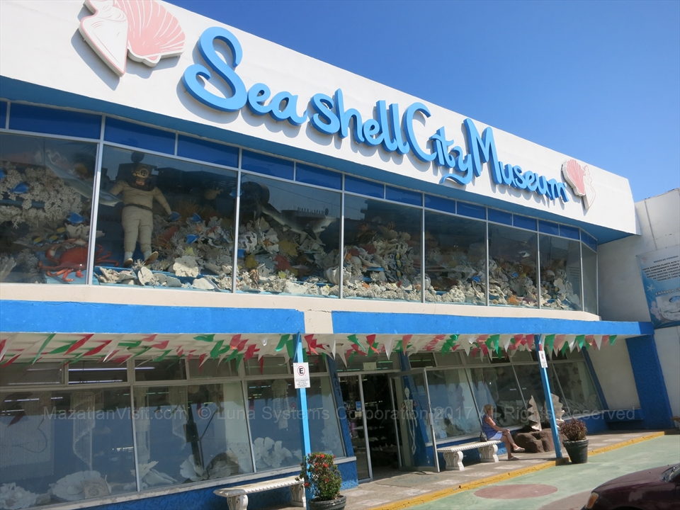 Seashell Museum in Mazatlán, Sinaloa, Mexico