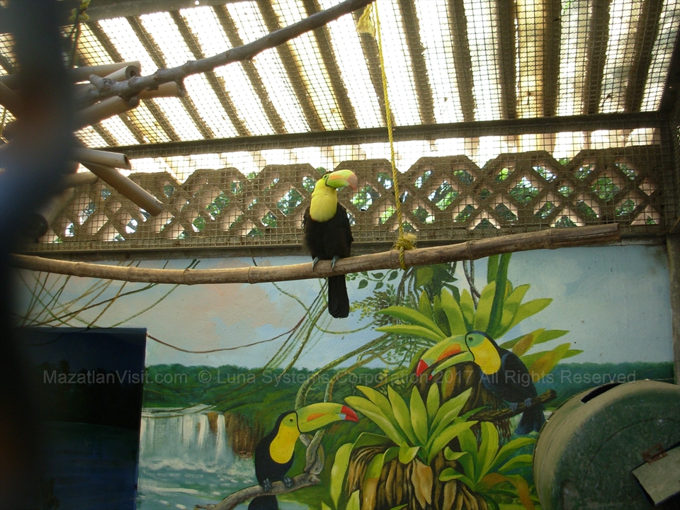 Bird Aviary at aquarium in Mazatlán, Sinaloa, Mexico