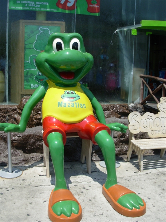 Senor Frog in Mazatlán, Sinaloa, Mexico