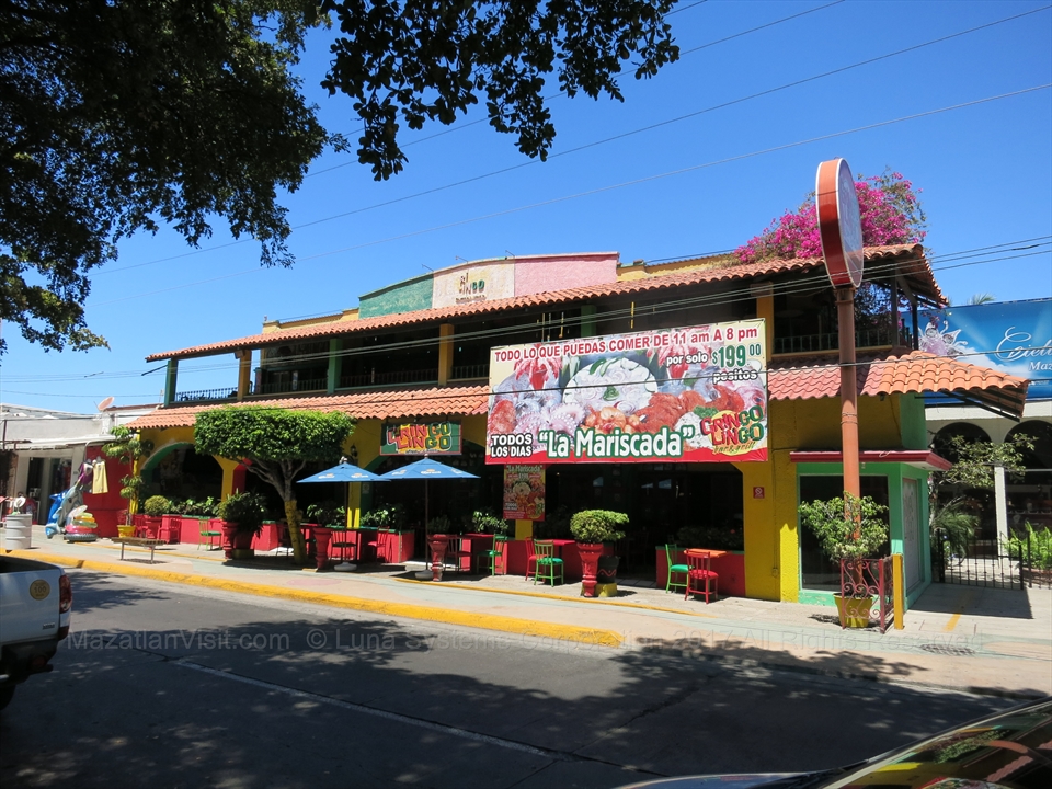 Gringo Lingo in Mazatlán, Sinaloa, Mexico