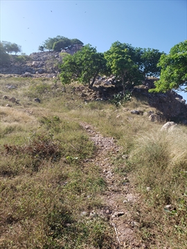 Goat path up Goat Hill in Mazatlán, Sinaloa, Mexico