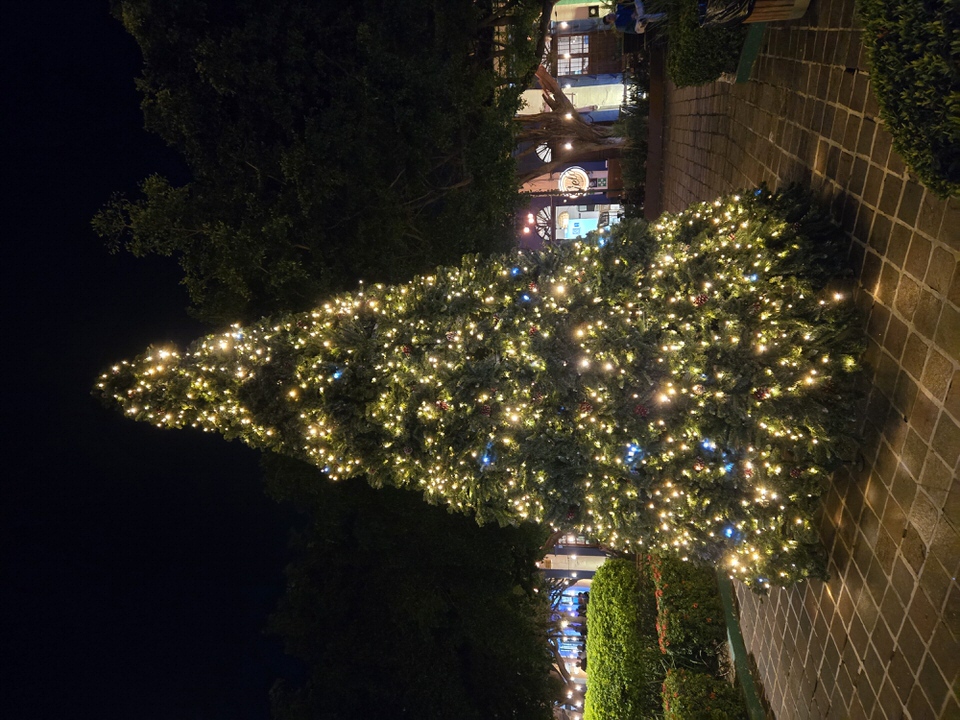 Plazuela Machado Christmas Tree