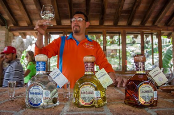 Tequila tasting in Mazatlán