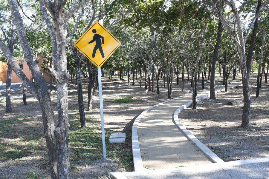 Lush green lawns and architectural walking bridges traversing the central park lagoons